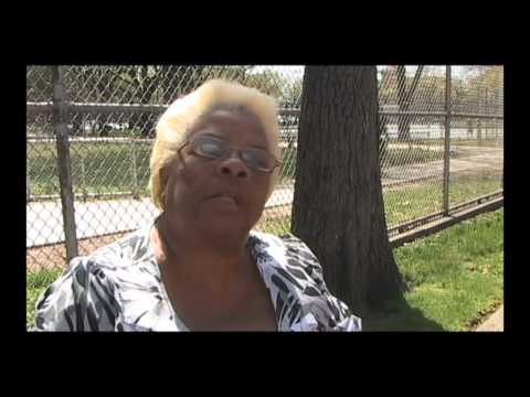 Pomonok Senior's Green Market