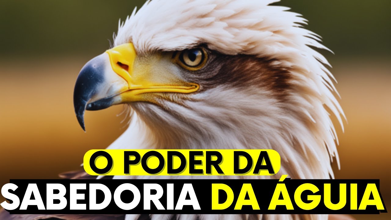 Como Ser Uma Águia: 7 Passos Para Alcançar a Grandeza | MENTALIDADE DE ÁGUIA