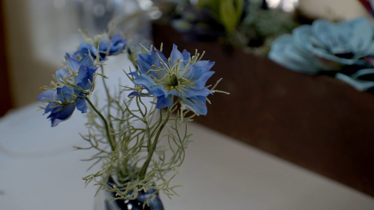 Ana Thompson: Botanical Artist