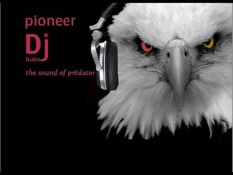 remix france gall  Dj bubu