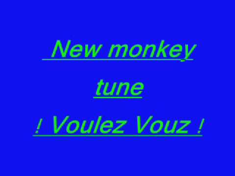 New monkey tune Voulez Vous
