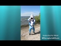 SHARK Ira