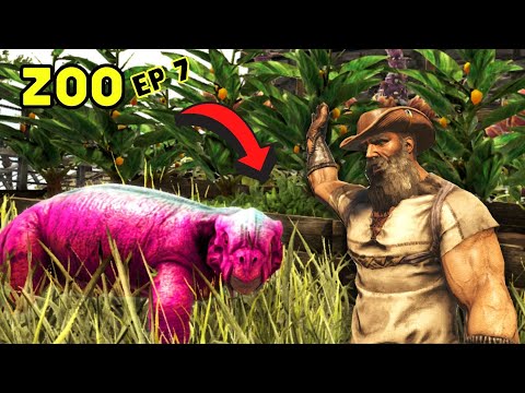 Ark Zoo Ep 7 | ZOO TOUR!! Breeding 4 Colorful Dinos, Building Their New Home, and Touring the Zoo