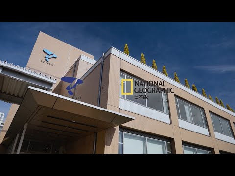 日本文化学科 【帝京大学 ✕ ナショジオ コラボ動画】理工学部情報電子工学科 棚本哲史 教授の研究紹介「技術が蓄積された半導体をベースに工学的的視点で量子コンピュータを開発」