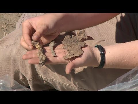 Palánkvár alapjaira leltek a régészek Törökszentmiklóson 2019.07.03.