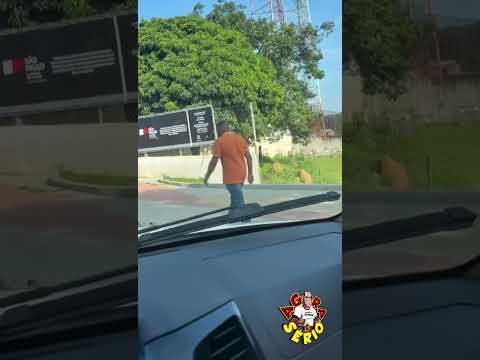 AFINAL QUEM É ESSE CHOKITO AMBULANTE QUE DESPERTA OLHARES DE CURIOSOS
