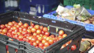 Ace of Clubs - 25th Anniversary Video