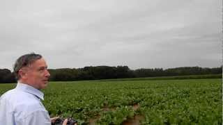 preview picture of video 'Flying a RC glider on a rainy day in Belgium (near Brussels)'