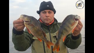 Про рыбалка на озере ильмень форум