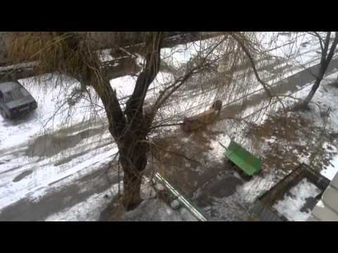 Односкоростная дрель, крут. мом. 94 Нм, MILWAUKEE HDE 13 RQX 030250 Односкоростная дрель, крут. мом. 94 Нм, MILWAUKEE HDE 13 RQX 030250