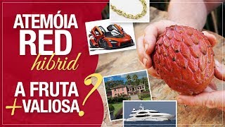 Miniatura do vídeo