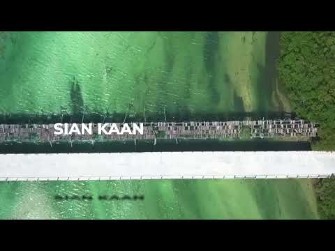 Sian Kaan Properties For Sale by Playa Realtors