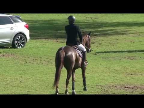 Rock Star Castellane - Fontainebleau Grand Prix Classic 23/05/14 - 135 CSI1*