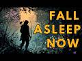 A Robin Hood Bedtime Story A Dream Of Maid Marian Storytelling And Calm Music