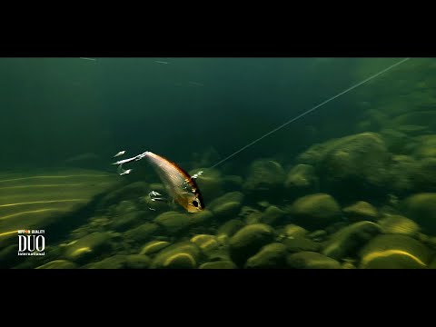 Lure Masterclass: Realis Vib 65 Nitro - How To