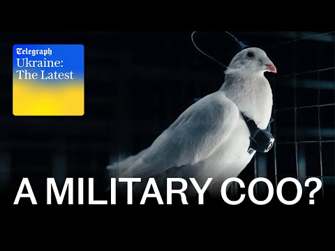 Russia tests turning pigeons into drones | Ukraine: The Latest
