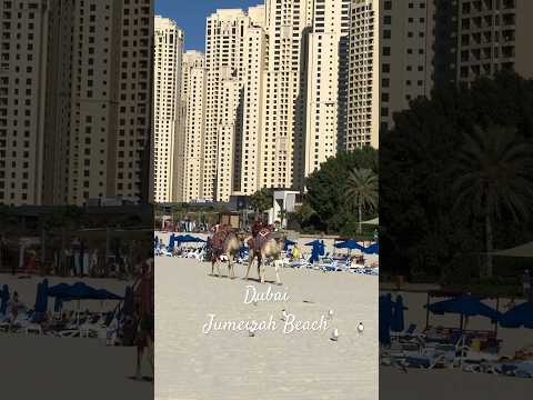 Camel riding in Dubai 🐫 #shorts #dubai #desert #uae #travel #world #arabic