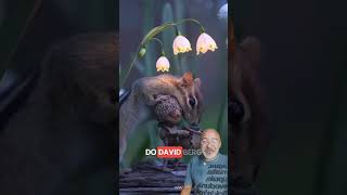 Happy Hour of Learning pt.11