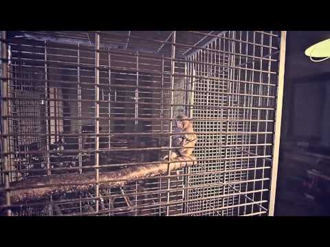 Aloha 40% - Proceente, Siódmy, Hades, Muflon, DJ Kebs - W głowie się nie mieści (HD)