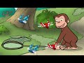 CURIOUS GEORGE Bug Catching
