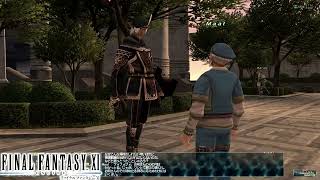【FF11】初見の冒険記：②レベル上限解放…【Odin鯖】#ブルーとFF11