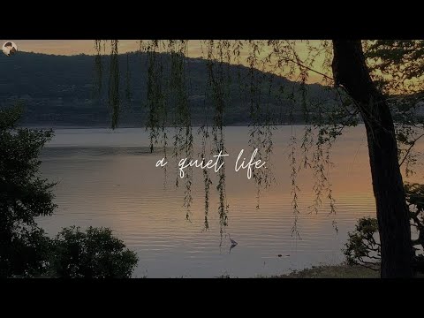 a comfort playlist for a quiet moment.