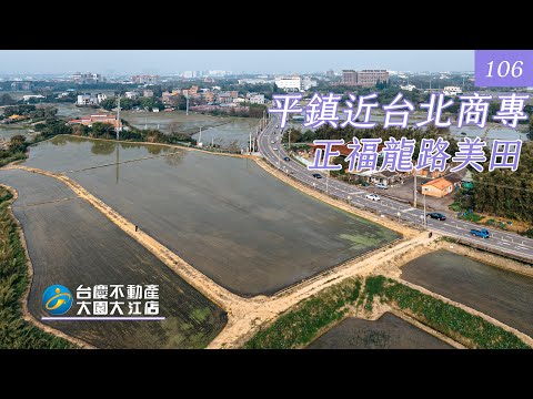 平鎮區-福林段農地出售 第1張共8張