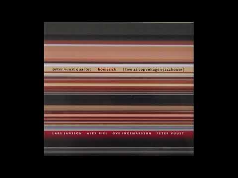 The Big View - Peter Vuust Quartet - Imogena Records