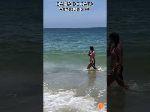 🇻🇪 Walking in BAHIA de CATA, Aragua, VENEZUELA #virtualtour #venezuela #aragua #cata #costadeoro