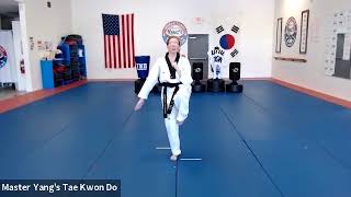 Live Class - White Belt - 5.4.20 @ 4:30pm