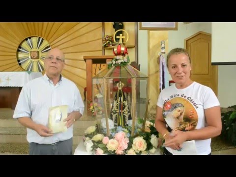 Pe.Adilson fala sobre a imagem peregrina #rota300