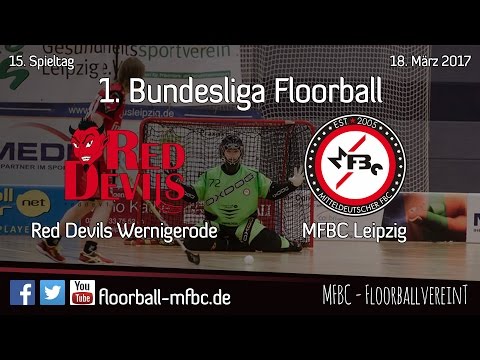 Highlights: Red Devils Wernigerode - MFBC Leipzig / 15. Spieltag 2016/2017