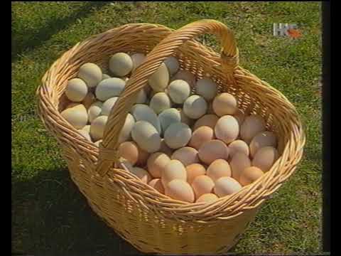 HRT 1, 18. ožujak 2002. - vijesti, najava programa