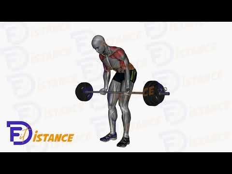 Exercice Rowing barre en prise inversée