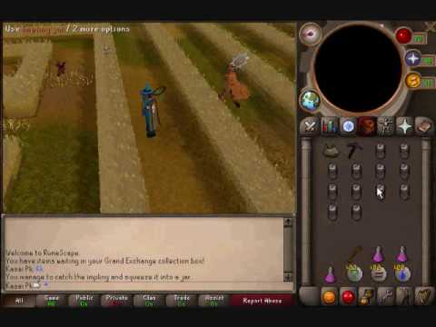 Runescape Imp Hunting Guide