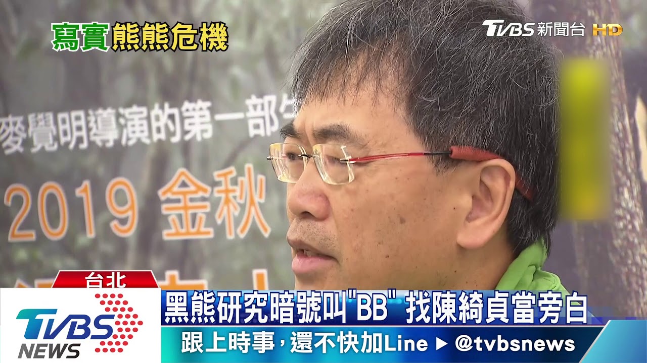 僅剩200隻! 花11年拍「黑熊來了」揭生存危機