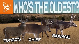 AGING DEER USING THE JAWBONE | Buck Commander