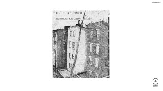 Insect Trust - Ducks