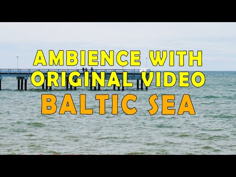 Baltic Sea Relaxing Ambience Sounds with Live video