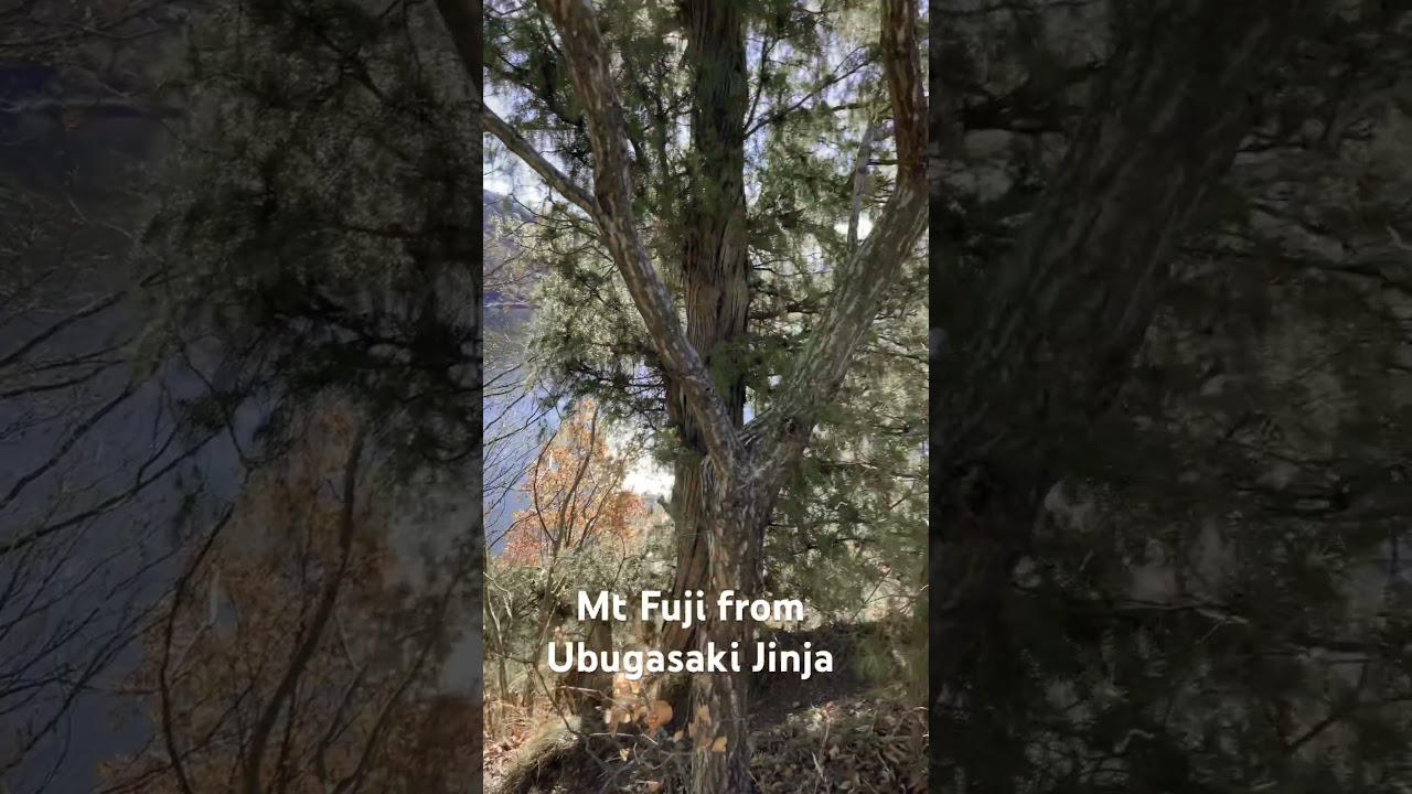 YouTube Short thumbnail