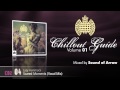 Ministry of Sound - Chillout Guide 