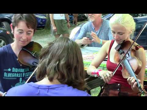 Ducks on the Mill Pond, 2015 Clifftop