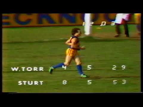 1980 Round 12 Sturt 19.17 131 d Torrens 12.19 91
