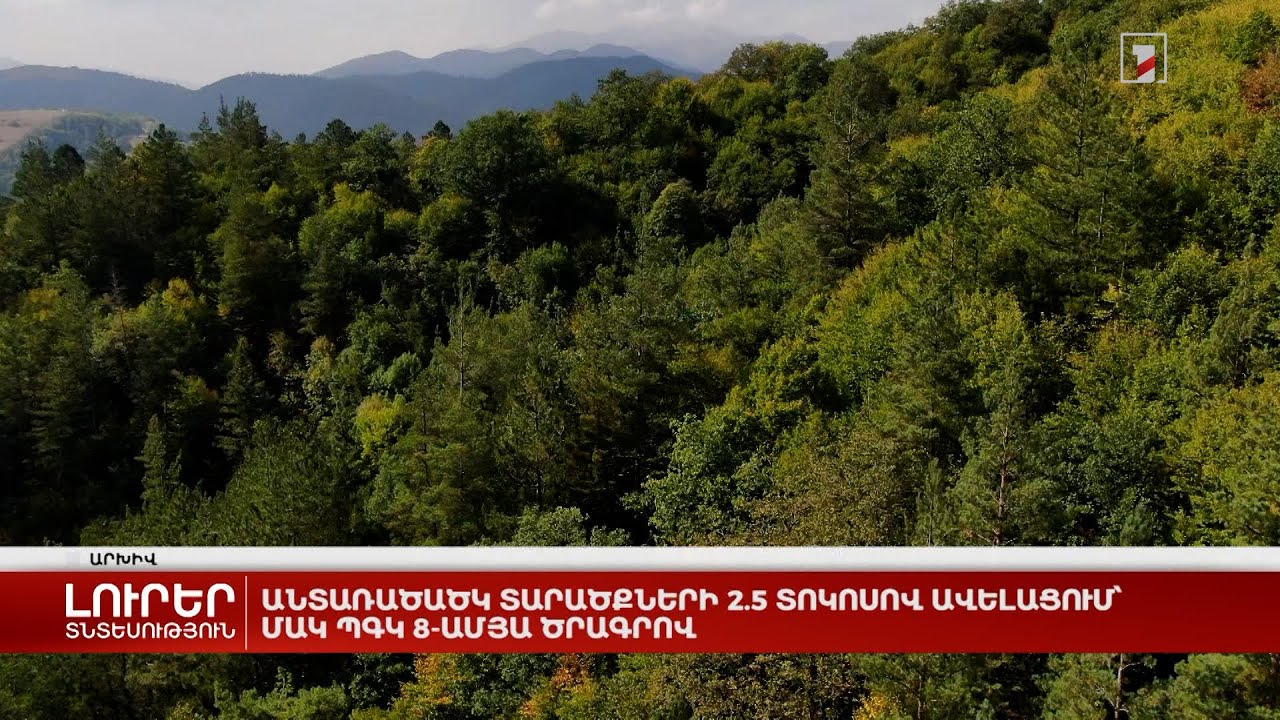 Անտառածածկ տարածքների 2.5 տոկոսով ավելացում՝ ՄԱԿ-ի ՊԳԿ 8-ամյա ծրագրով