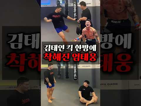 김태인 킥 한방에 눈빛 착해진 엄태웅 | 당신이 몰랐던 이야기