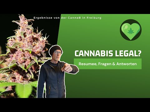 WER DENKT DARAN!? Fazit zum Fachkongress der CannaB in Freiburg + Interview Luc Richner