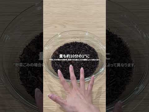 生ごみ処理機 リサイクラー ダークグレー MS-N25-H [温風乾燥式