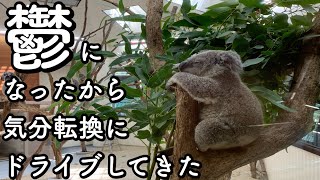 鬱になったから気分転換にドライブしてきた ②