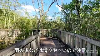 チベットバトラー自然保護区