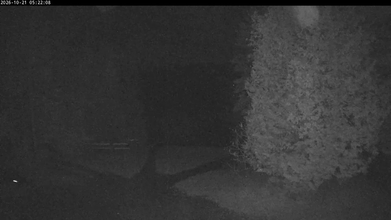 Live webcam view of Craftsbury Boathouse Cam